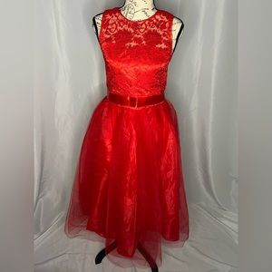 Girls red tulle skirt dress